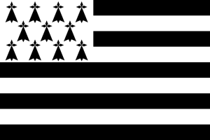 witte vlag zwarte strepen en torens